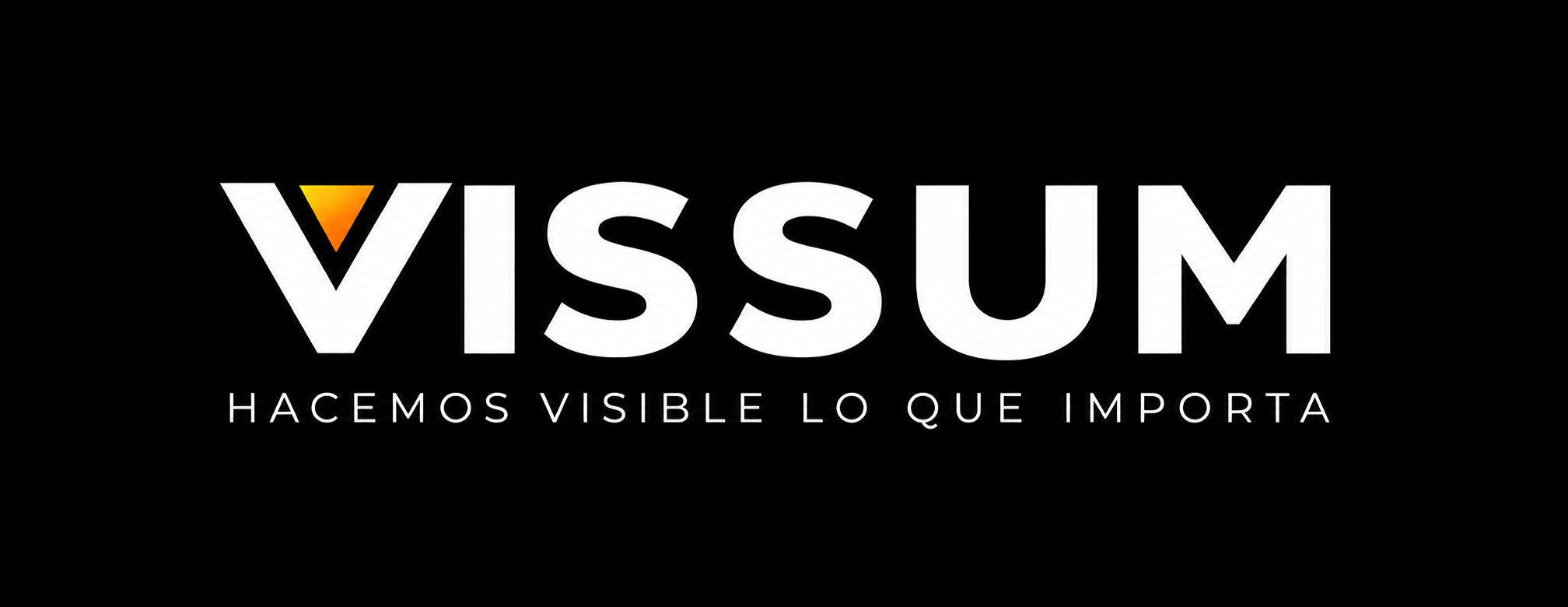 VISSUM. Hacemos visible lo que importa